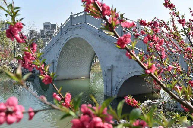 桃花湖公園520甜蜜開園,是杭州城北地區最大愛情主題公園_丁蘭_集團