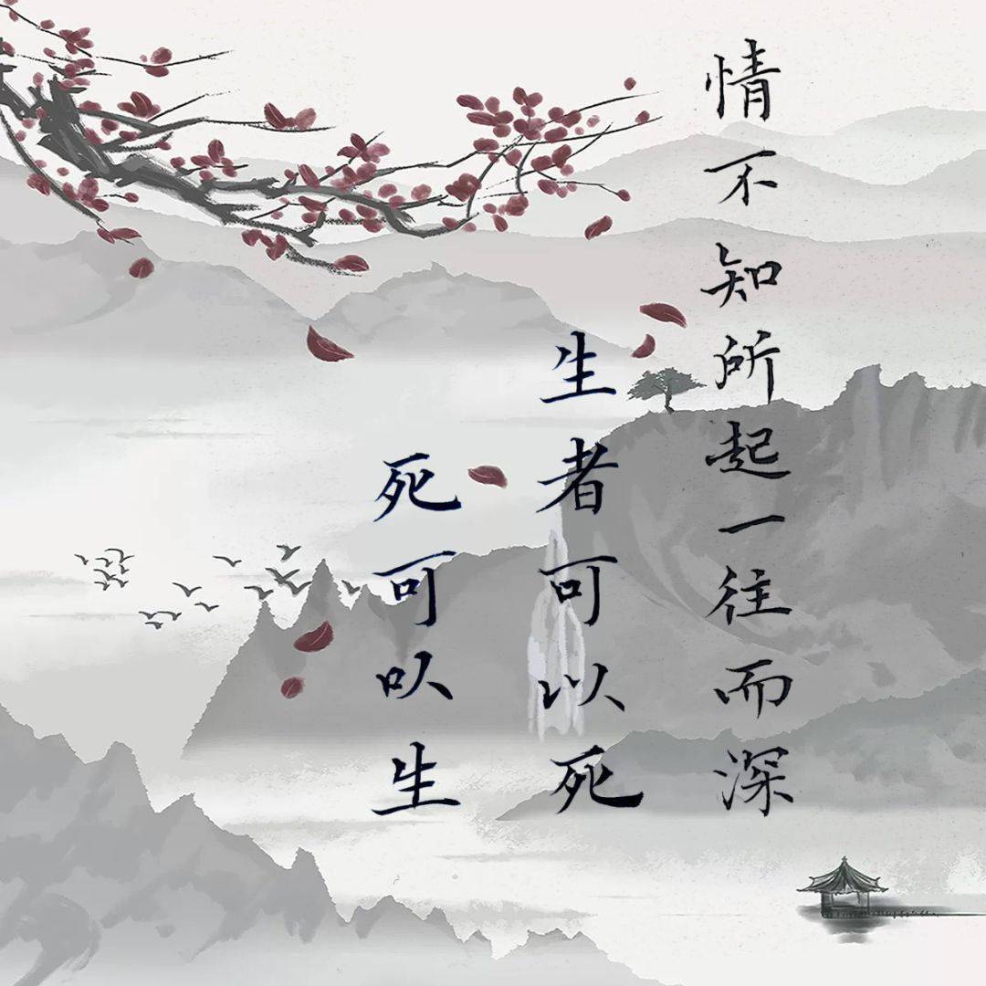 情不知所起的整首诗
