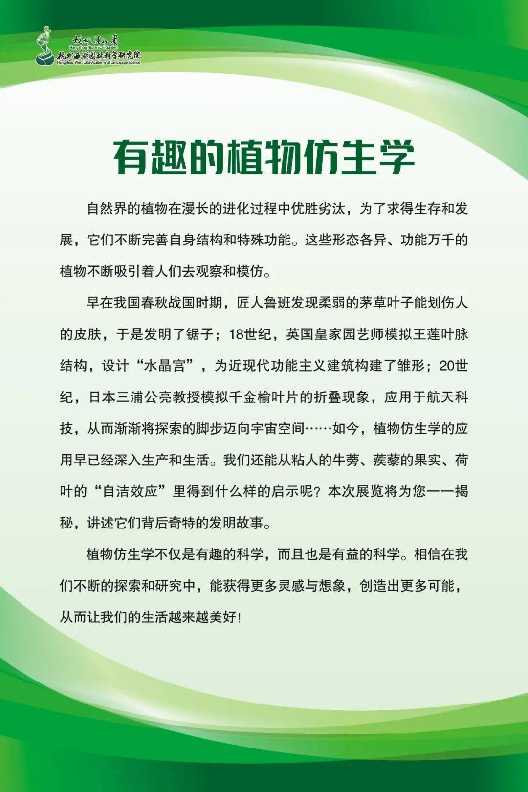 植物仿生学的例子图片