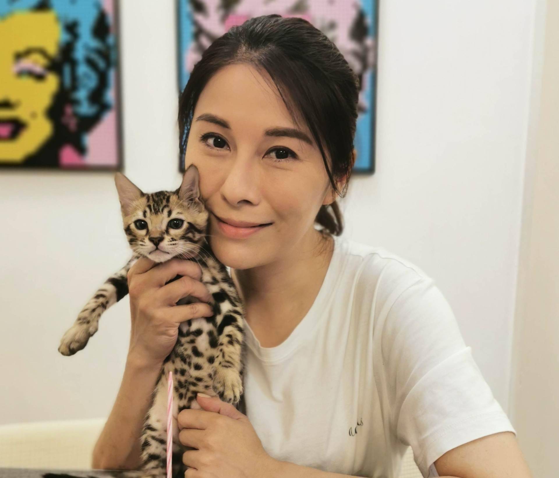 香港知名女星被豹猫抓伤血痕累累,紧急就医打破伤风针_黎淑娴_许智政