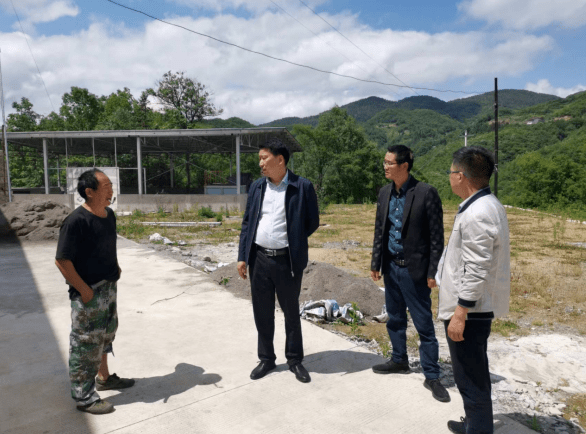 镇巴县人大常委会领导到长岭镇检查指导工作_刘明江_发展_群众