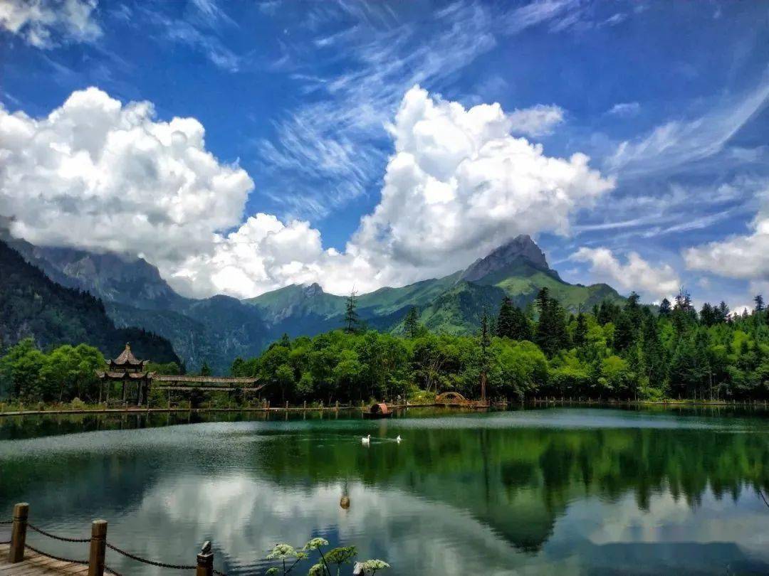 【陇南要闻】初夏,官鹅._季节_湖泊_青山绿水