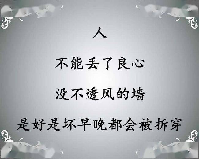 良心,多少钱一斤?_良心
