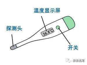 防疫科普丨如何正確使用體溫計