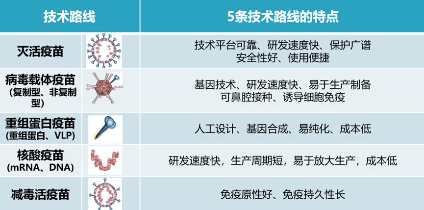 我国在新冠疫苗研发过程中系统布局了5条技术路线,有100多个团队在