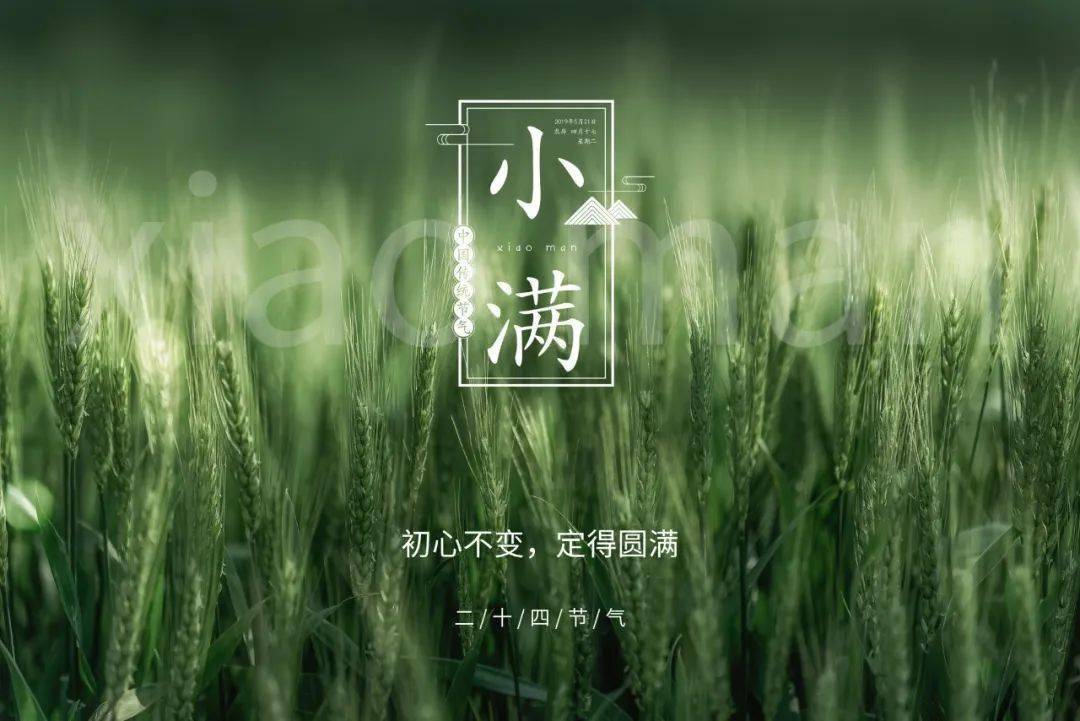 小满节气诗词丨花未全开月未圆人生最好是小满