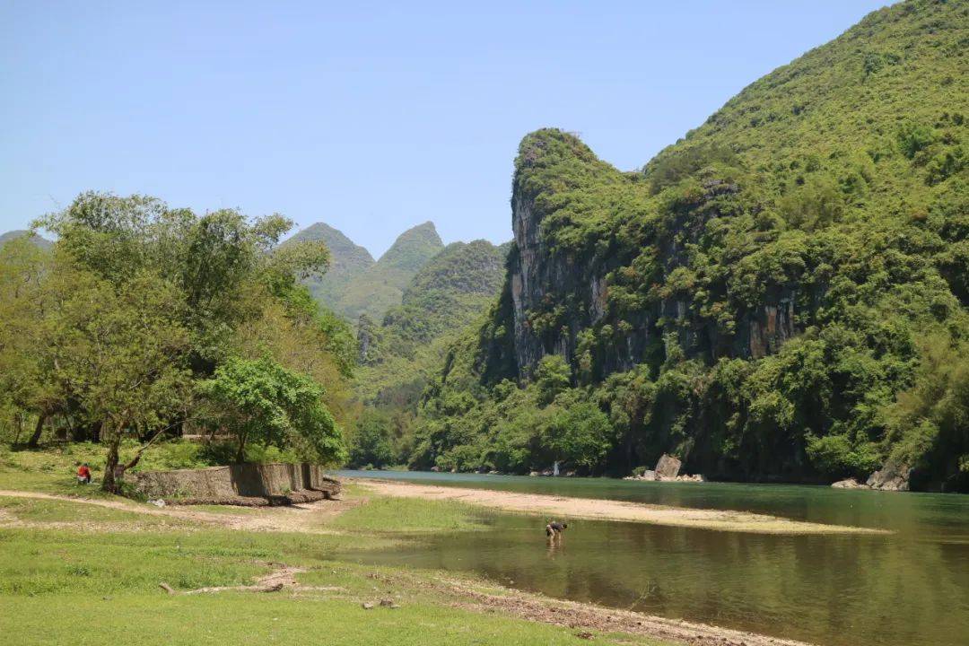 花桥走读桂林走进杨堤乡月光岛弦月之上看漓江