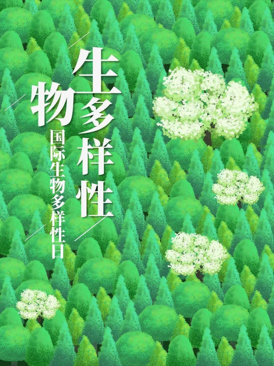 国际生物多样性日|守护多样世界,共建地球家园_丰台_永定河_保护