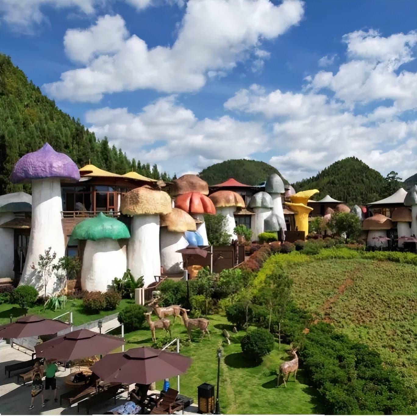 蘑菇酒店的免费入住体验券直播还会抽取除了吃的有花茶,功夫茶