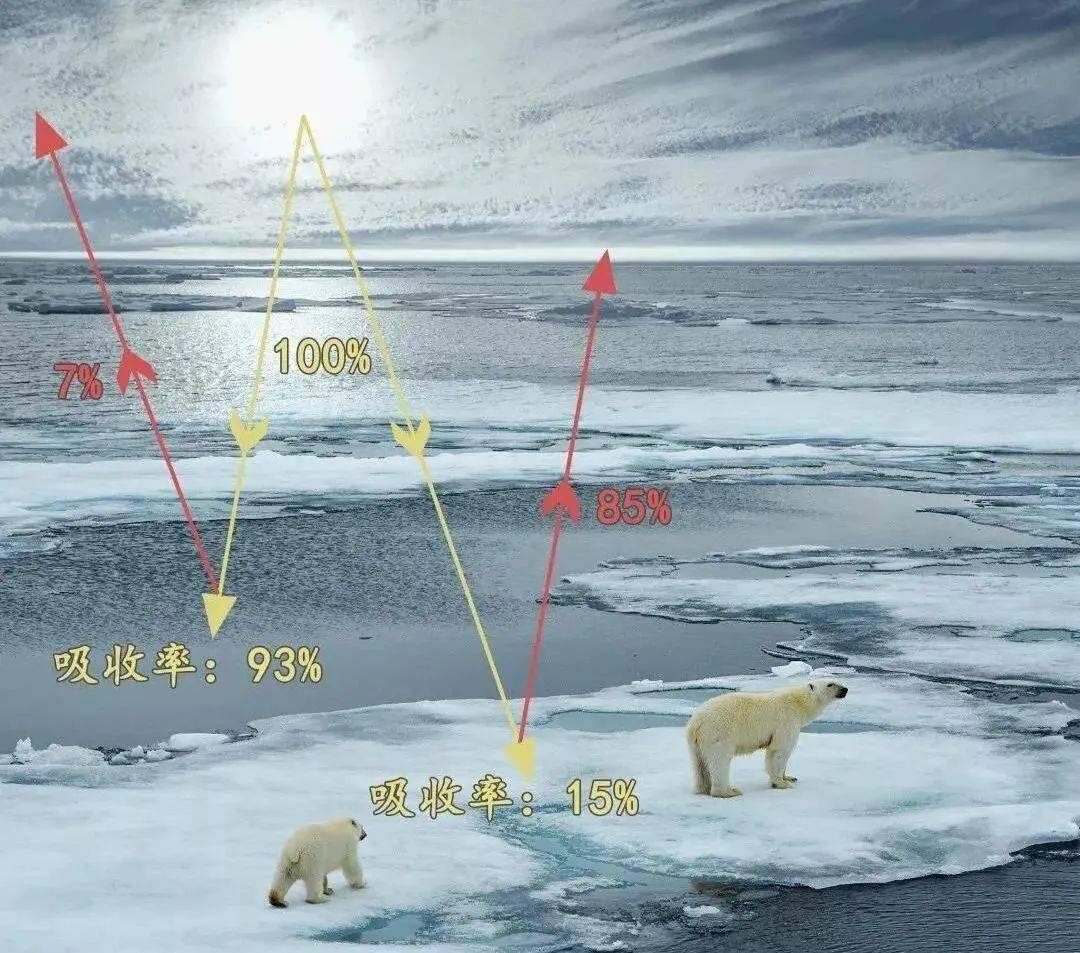 北极涡旋,北极涛动,平流层变暖,北极放大效应及其影响