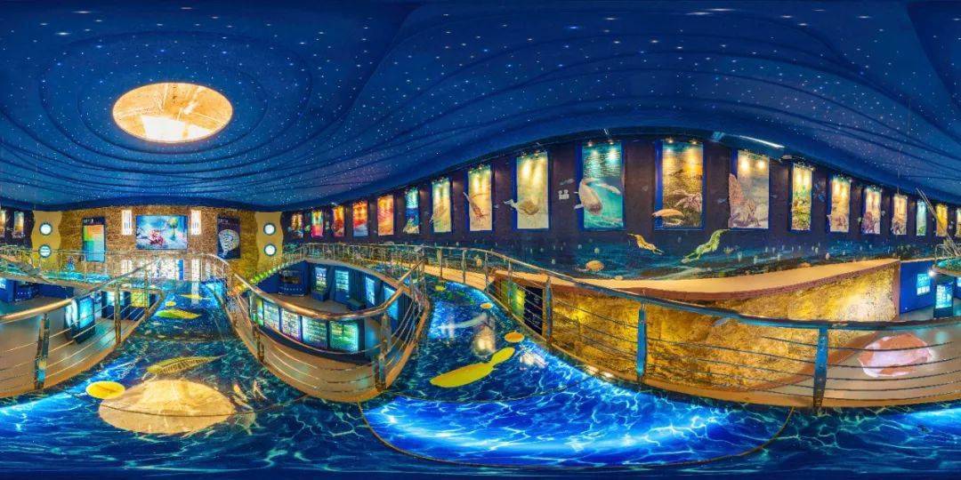 穿越时空全景vr展览馆带你看遍518亿年古生物