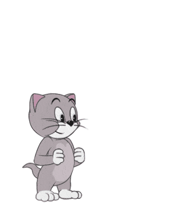 托普斯动作展示丨小奶猫托普斯来啦,智商高捕鼠强就是他!