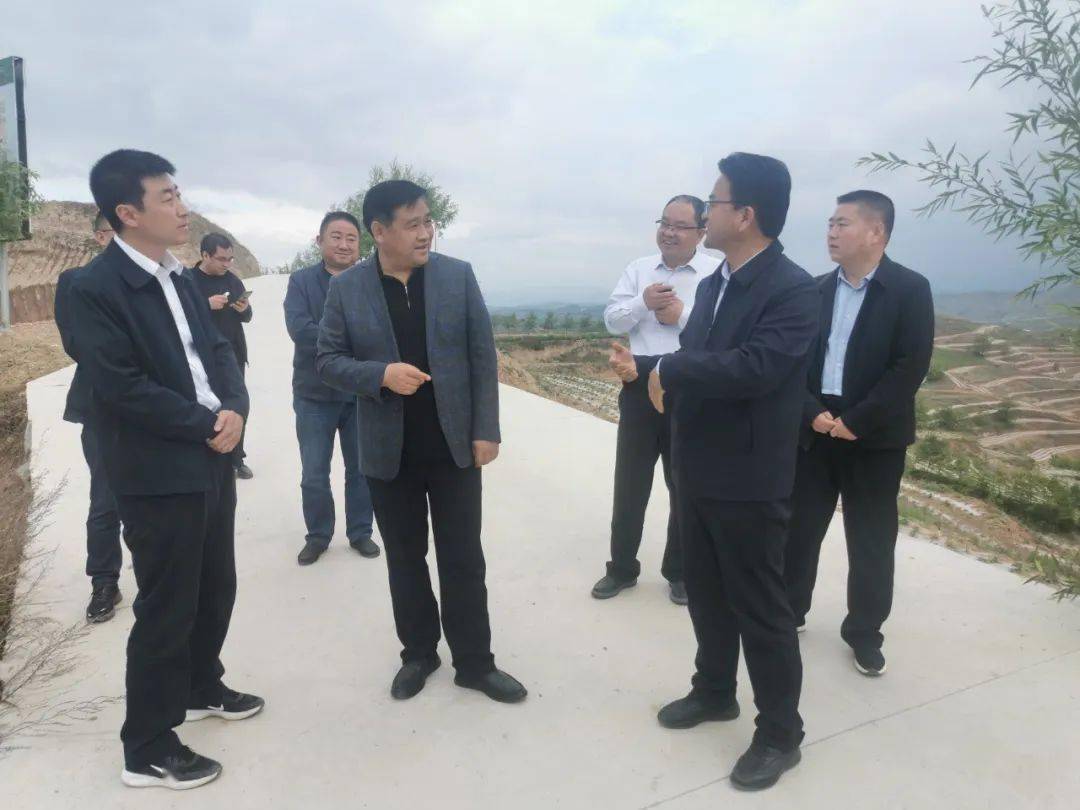 副市长张永刚到苏合镇调研指导撂荒地整治和农业产业发展工作