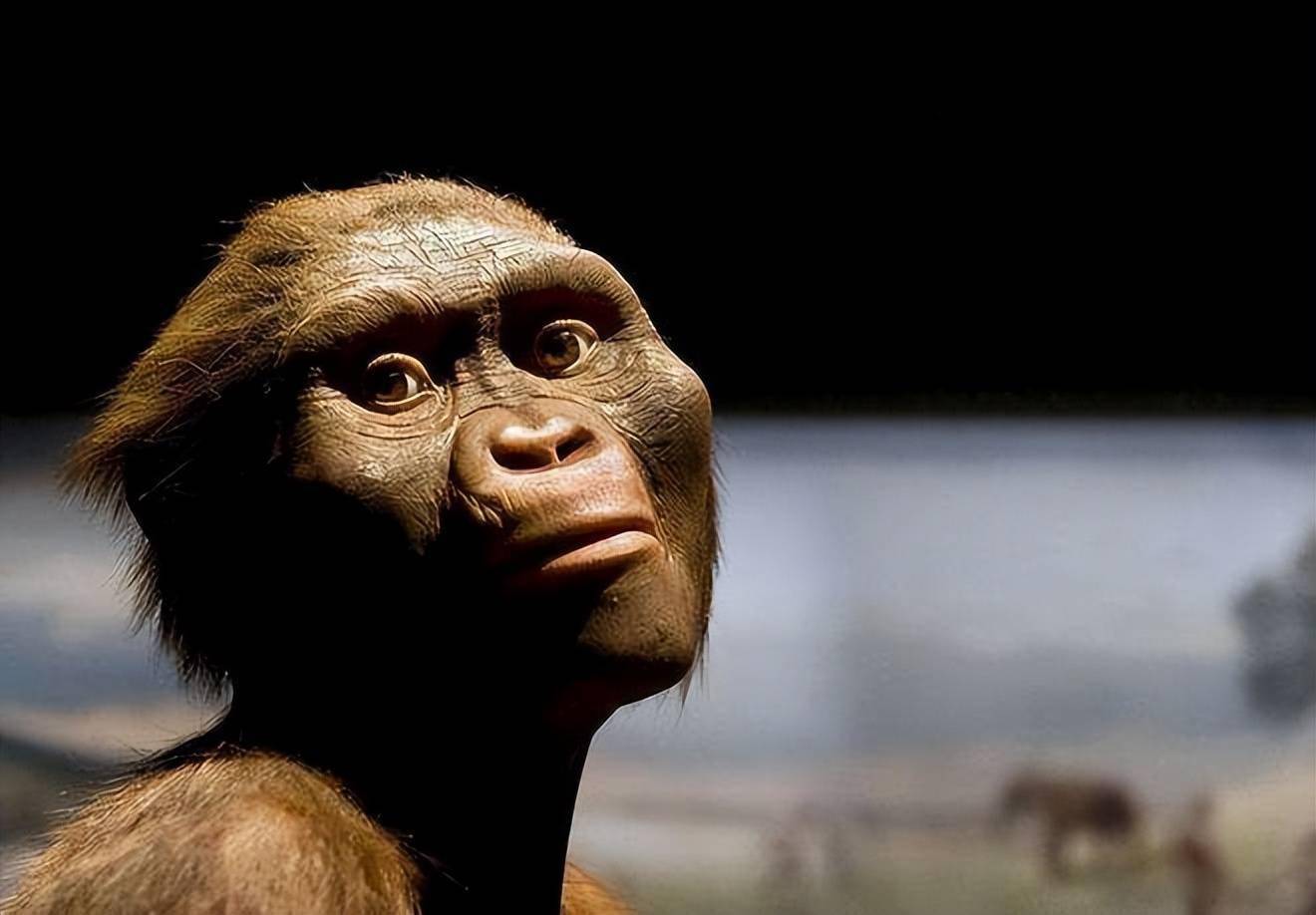 并不是类人猿进化_生物学_人们_海洋