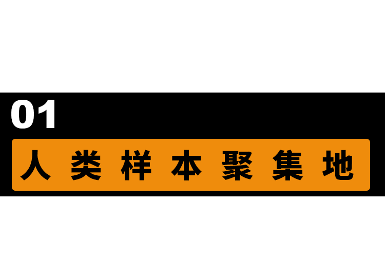 黄色网站的评论区是人类文明最后一片净土吗