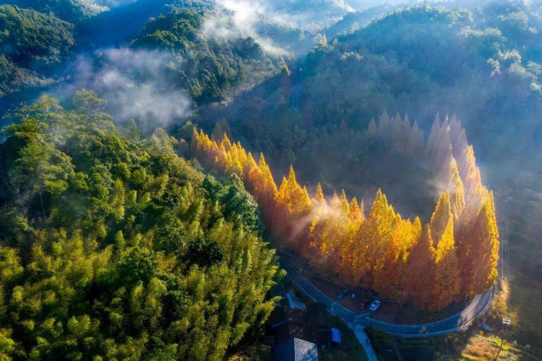 揭晓三明市秀美将乐县61康养龙栖山摄影展作品征集评选结果出炉