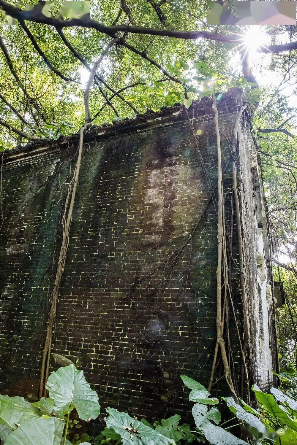 广东开平无人村