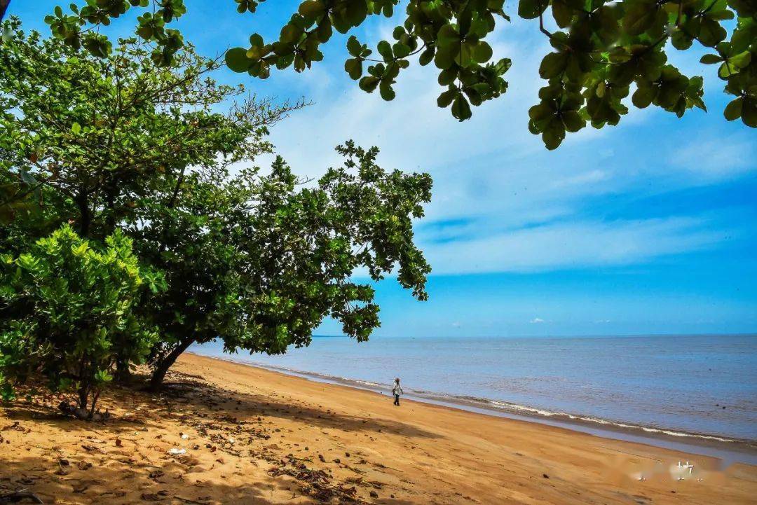 图集走进喀麦隆杜阿拉埃代阿国家公园