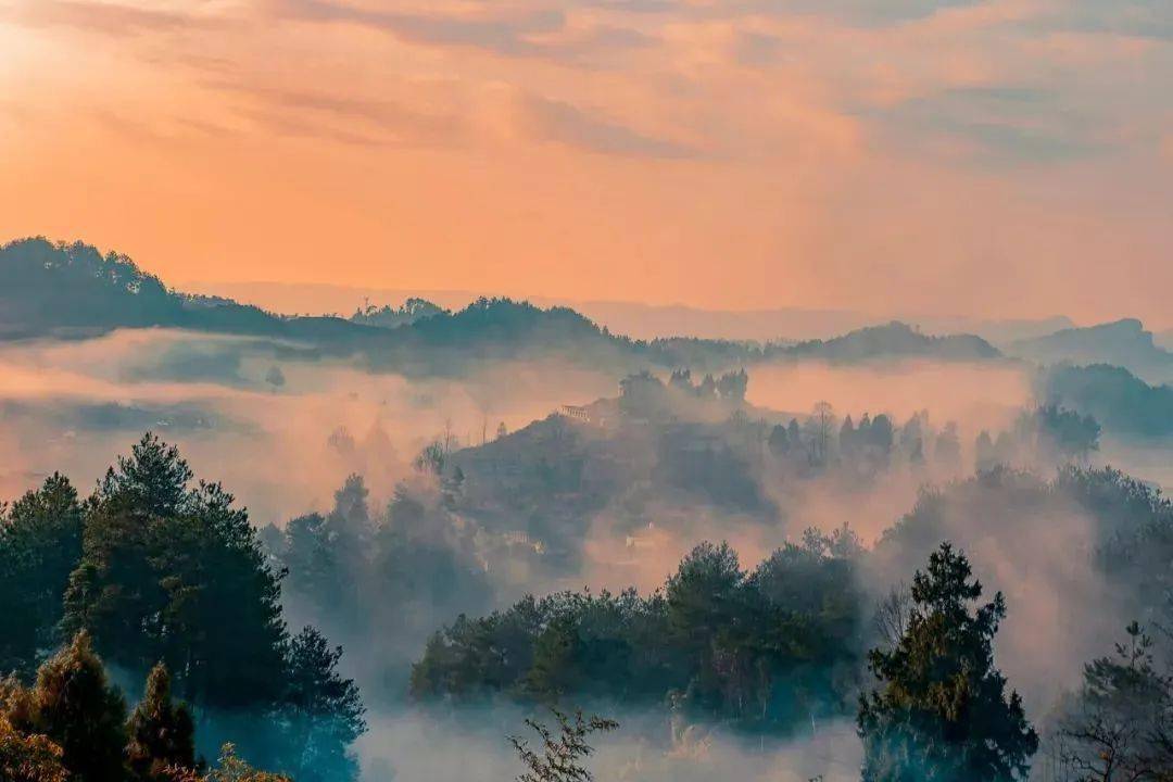 曹操最脍炙人口的10首诗,读来慷慨激昂,方显英雄本色