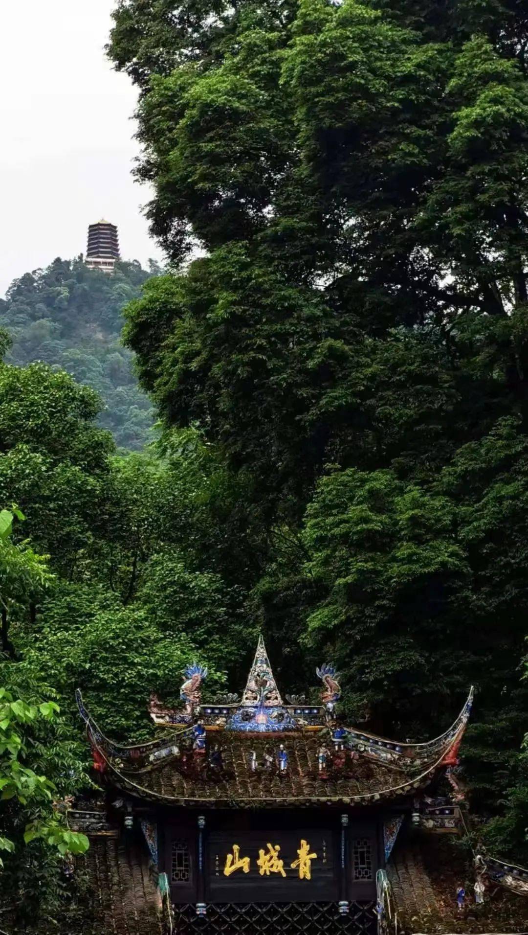 青城山滑竿图片