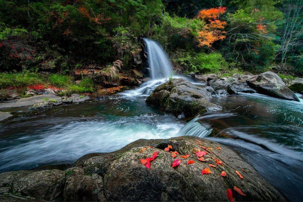 揭晓三明市秀美将乐县61康养龙栖山摄影展作品征集评选结果出炉