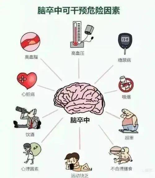 脑中风思维导图图片