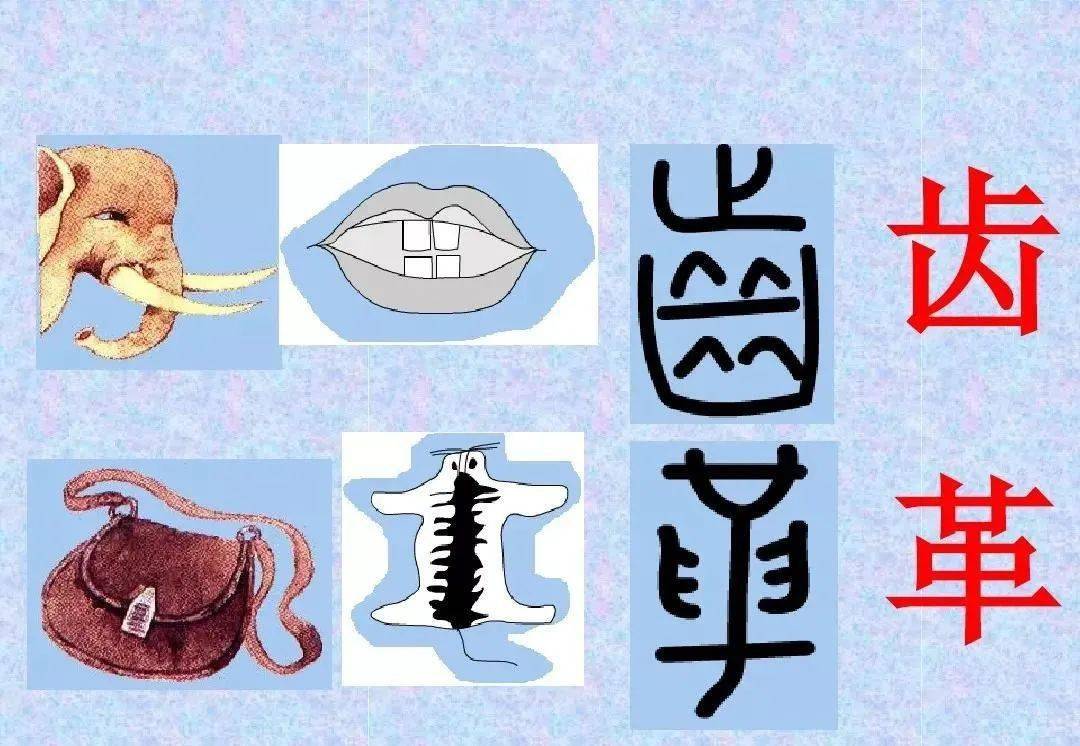 常見象形字生動有趣讓孩子輕鬆愛上書法