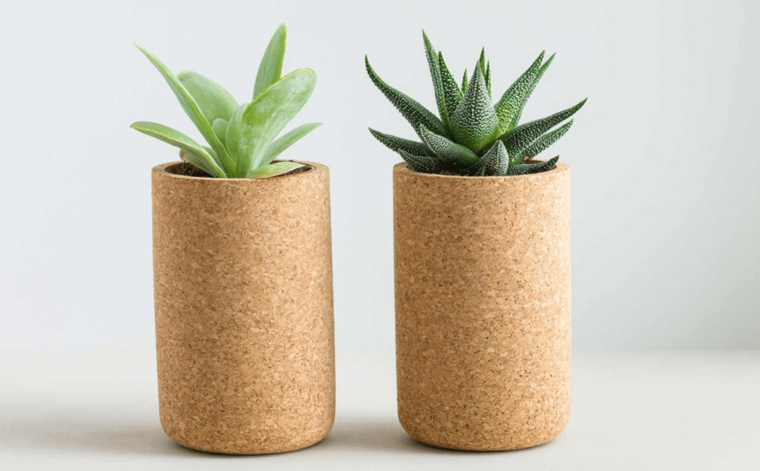 mind the cork背后的设计师生产软木制品,如花盆,餐具和储存容器,以