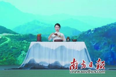 茶客在潮州 茶香沁古城