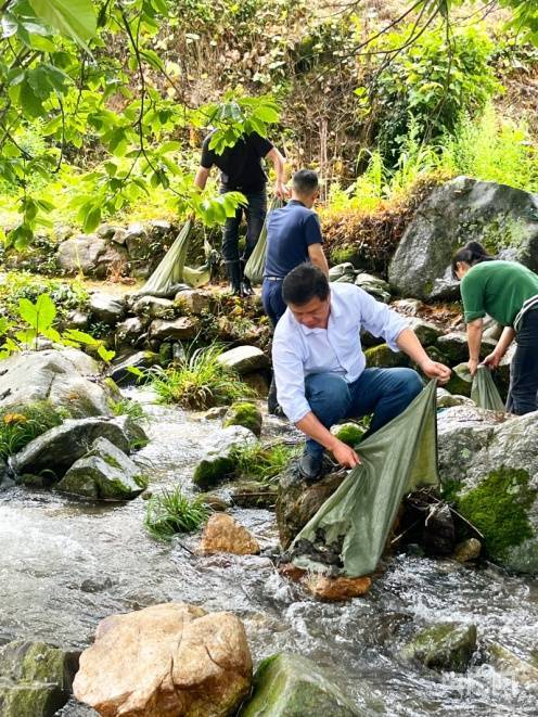 生物多樣性保護|4萬隻珍稀物種棘胸蛙放流大自然_宜黃_增殖_種群