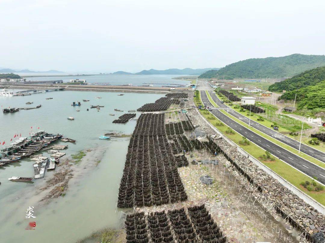 奉化裘村沙滩图片