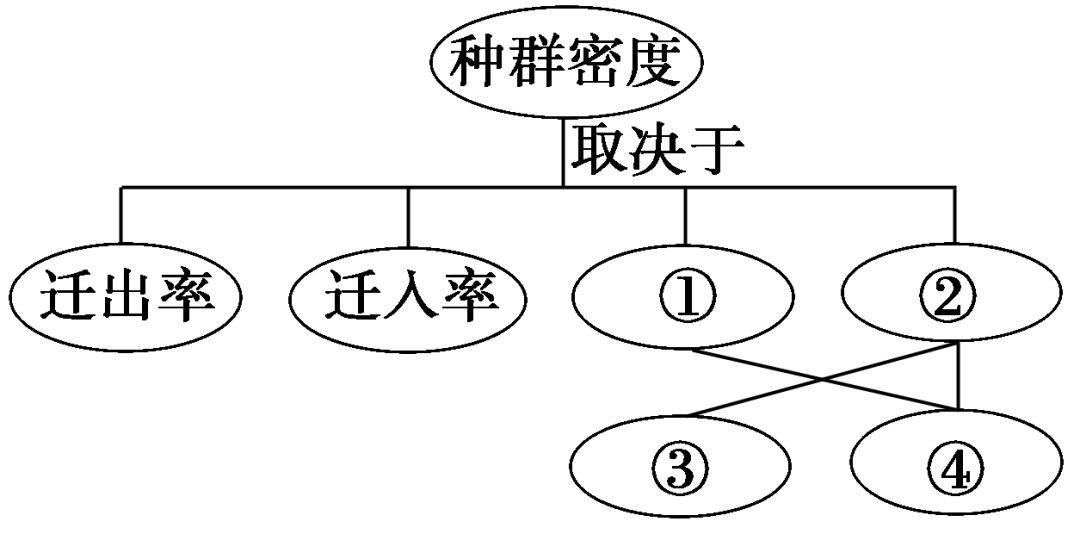 高中生物知識點種群和群落