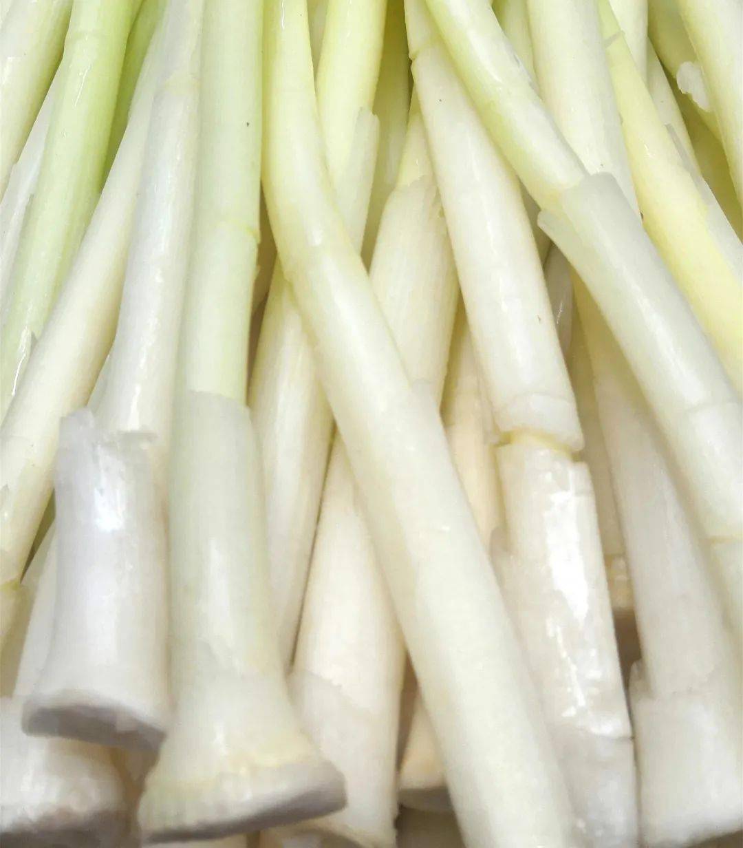 蒲菜_检测_服务