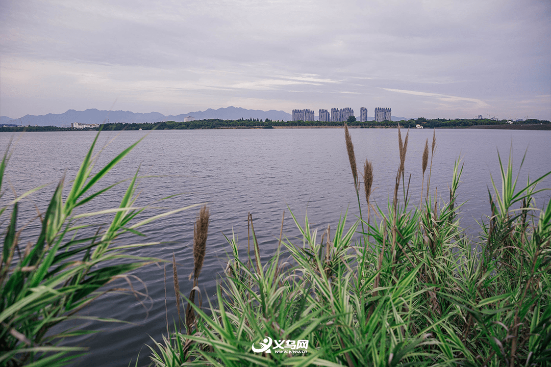 义乌花海景区 周边图片