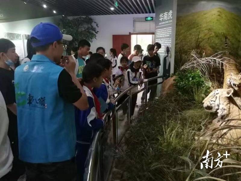 下,澄江学校160多名学生排列着整齐队伍,分组来到车八岭自然博物馆