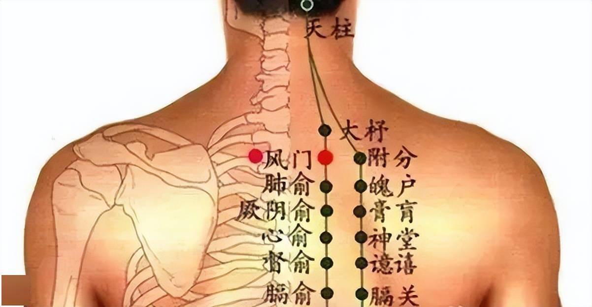 背部_艾灸_五脏六腑