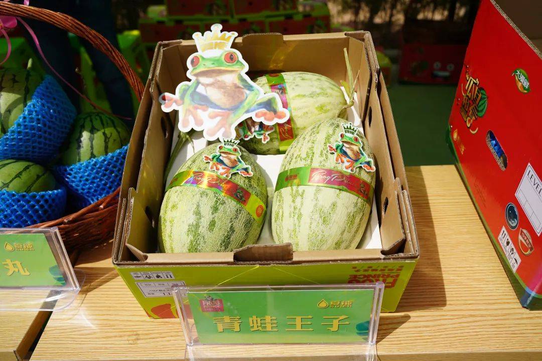 电商助农 产业兴旺——2022年夏能青蛙王子蜜瓜(宁夏)线上线下今日