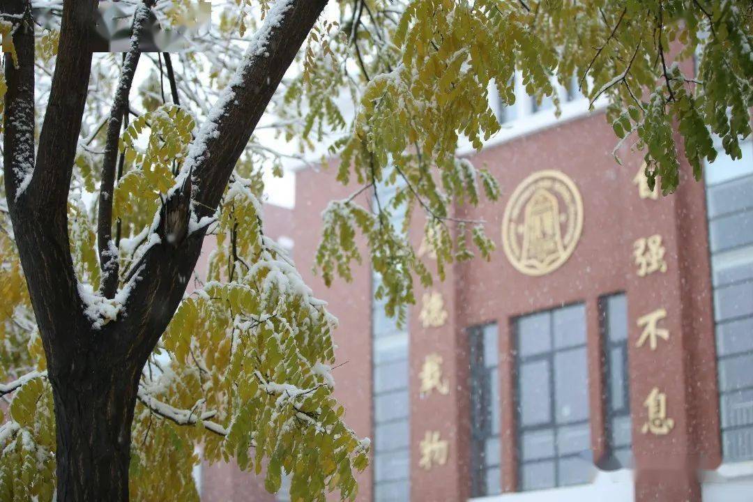 多岗直招】之清华大学附属中学永丰学校_高中岗_学科_清华附中