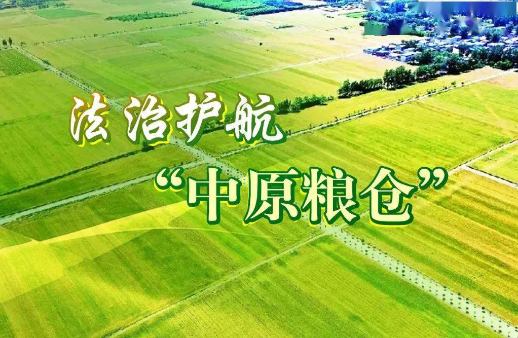 法治日报头版法治护航中原粮仓河南整合法律服务资源确保粮食安全
