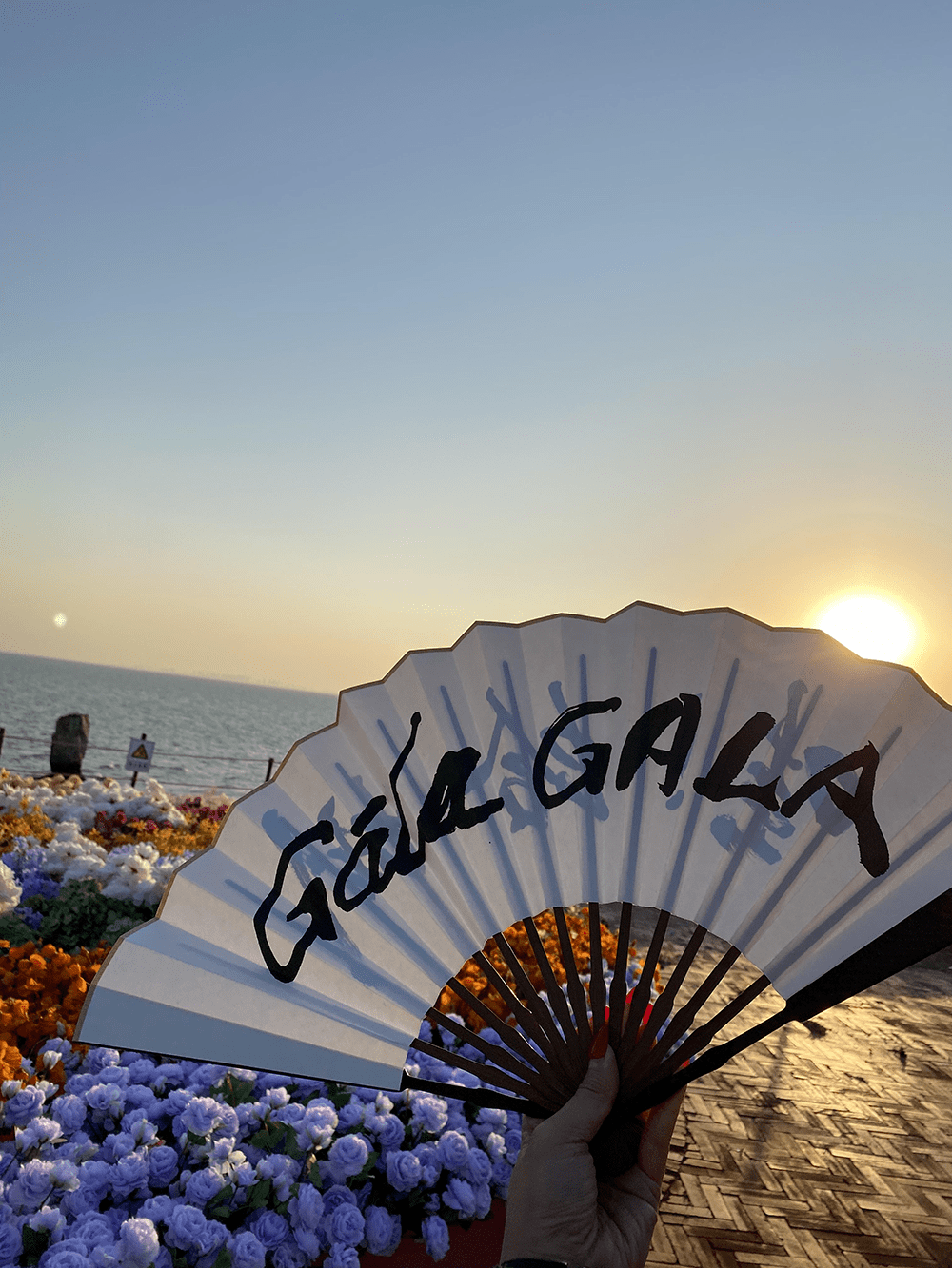 青岛城阳红岛蛤蜊节引领潮流生活_市集_游客_文化