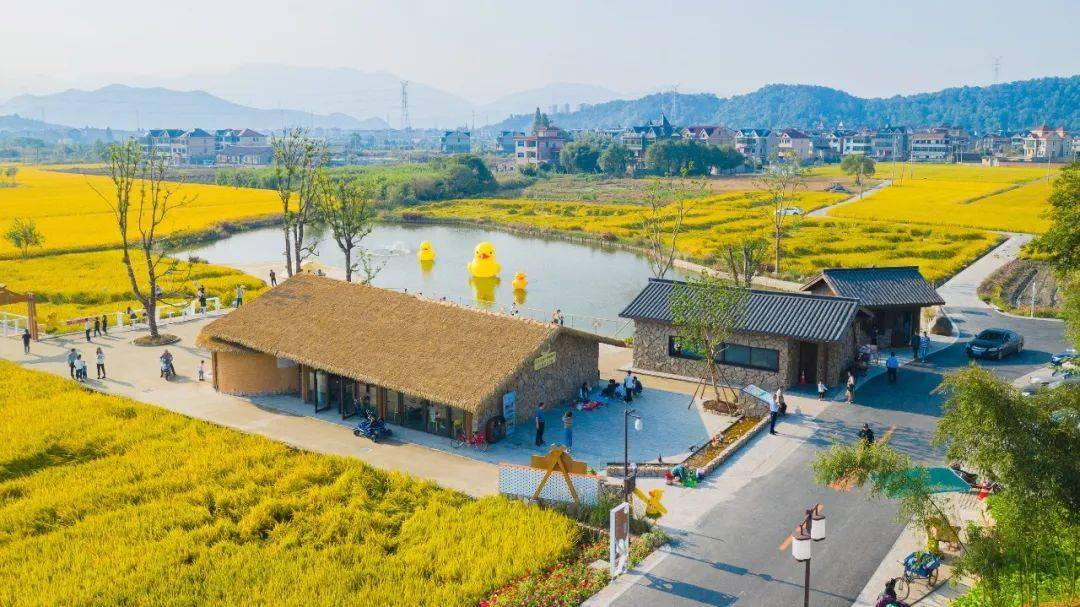 重磅萧山区这个村入选浙江省首批未来乡村名单它到底优秀在哪里