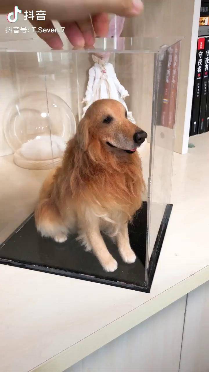 羊毛毡金毛手工原创