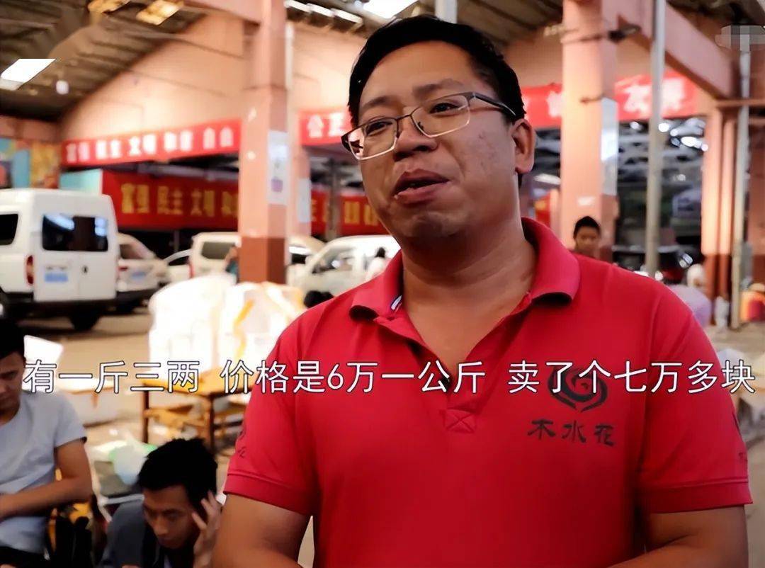 云南第一窝松茸被神豪买走!_身体_价钱_价格