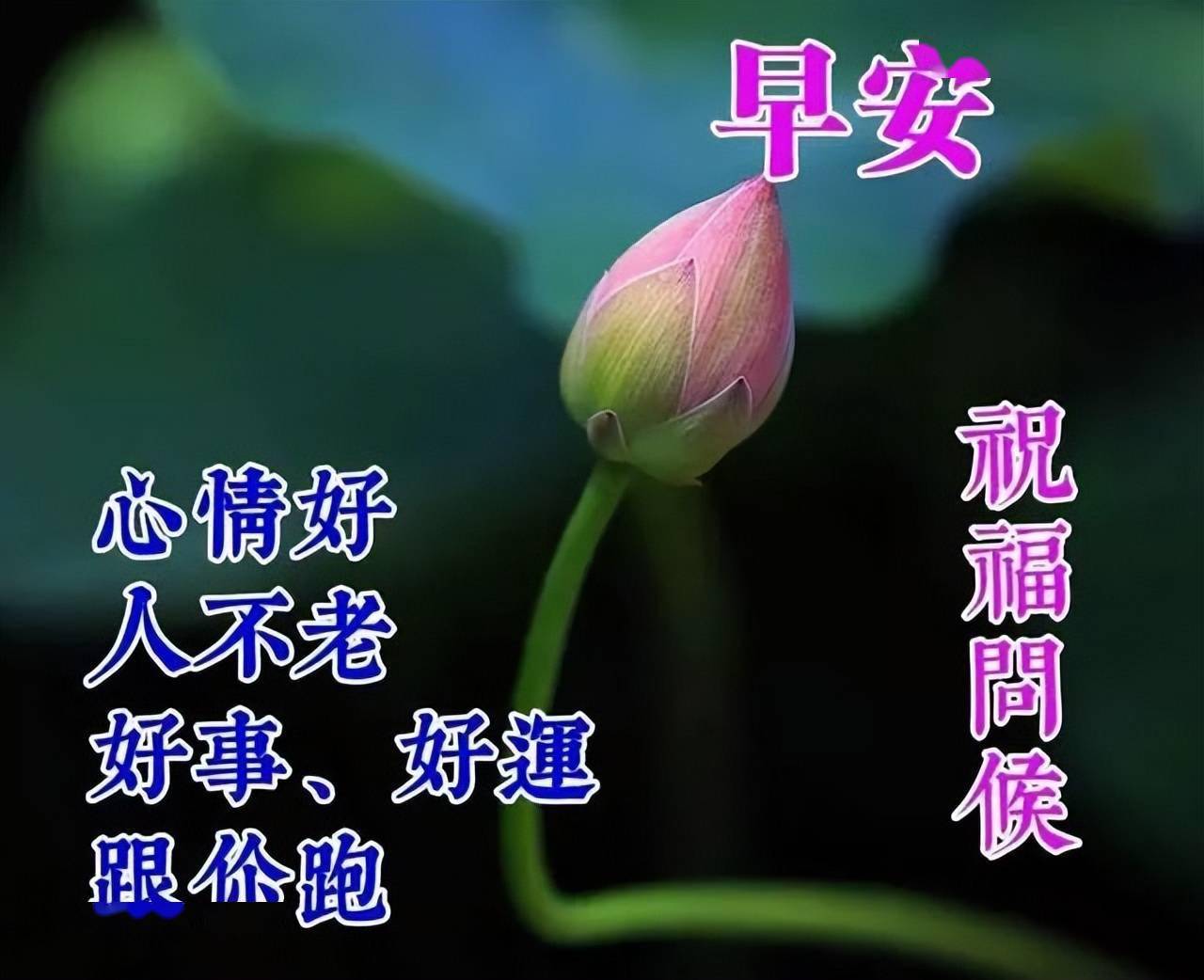 早安吉祥宁静致远淡泊安详波澜不惊水轻漾早安