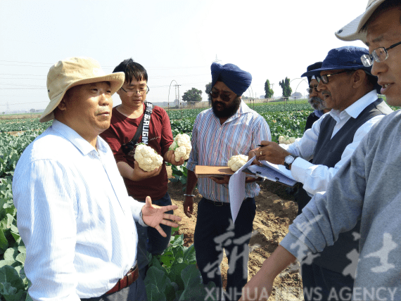 天隆科技出口 中国故事|“中国种”在异国开出“致富花”