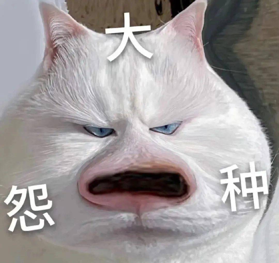 微信沙雕表情包|都来瞧这个大冤种_熊猫头_什么_一个人