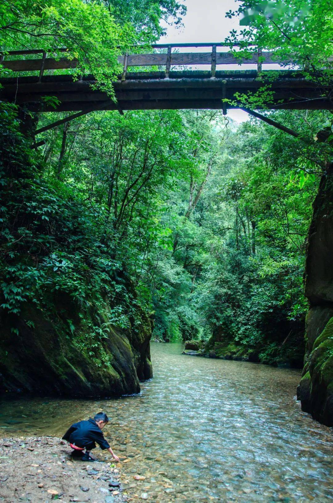 柘溪秘境探访茶马古道十里画廊川岩江峡谷马帮部落的传奇帘见百年风雨