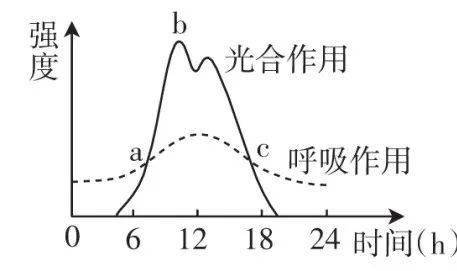 初中生物中考曲線類試題29例,考到的概率很大!_光合作用_答案_變化