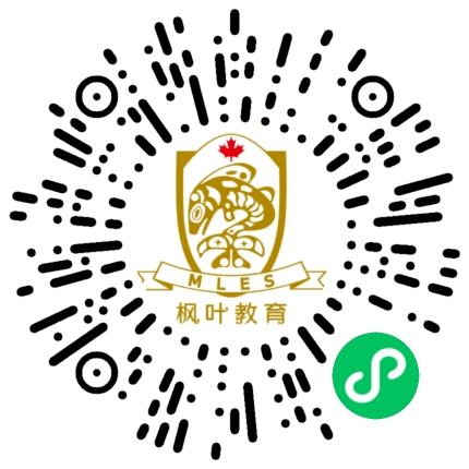 枫叶国际学校logo图片