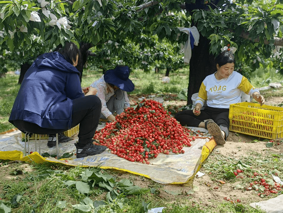 马跑泉镇图片